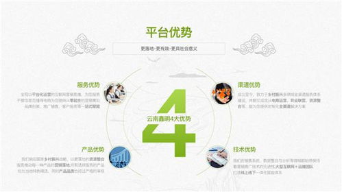 乡村振兴战略下的农特产品与科技融合之路