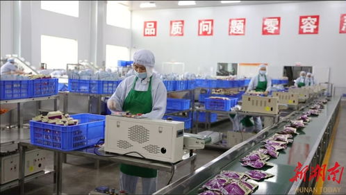 武冈科技小院 科技创新赋能特色产业，引领农民增收致富